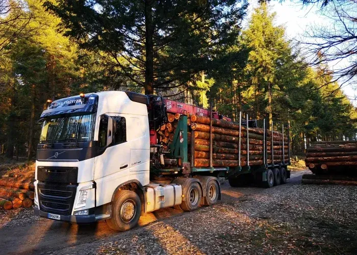 Livraison bois de chauffage à La Guerche-de-Bretagne