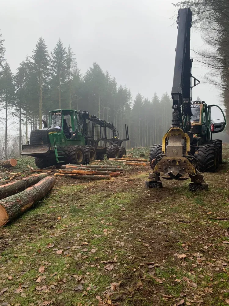 Livraison stères de bois à La Guerche-de-Bretagne