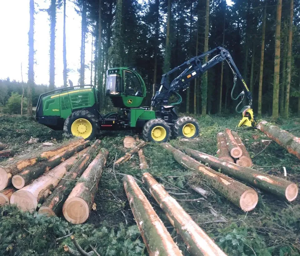 corde-de-bois