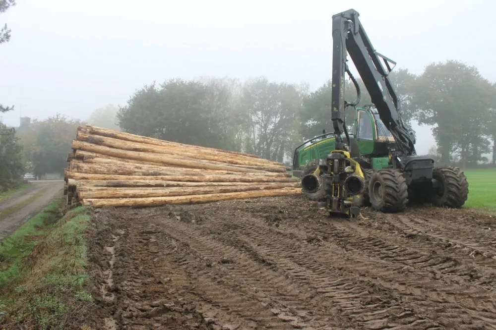 Livraison bois sec à La Guerche-de-Bretagne