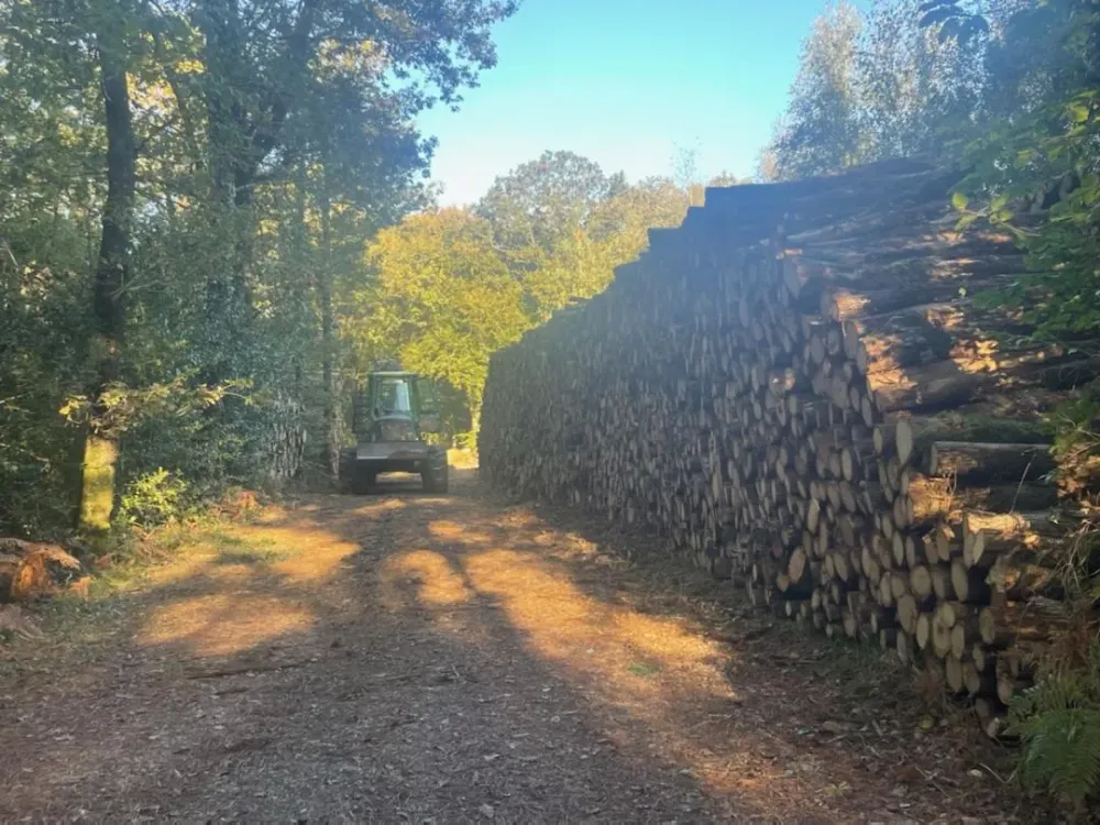 solution-de-chauffage-bois