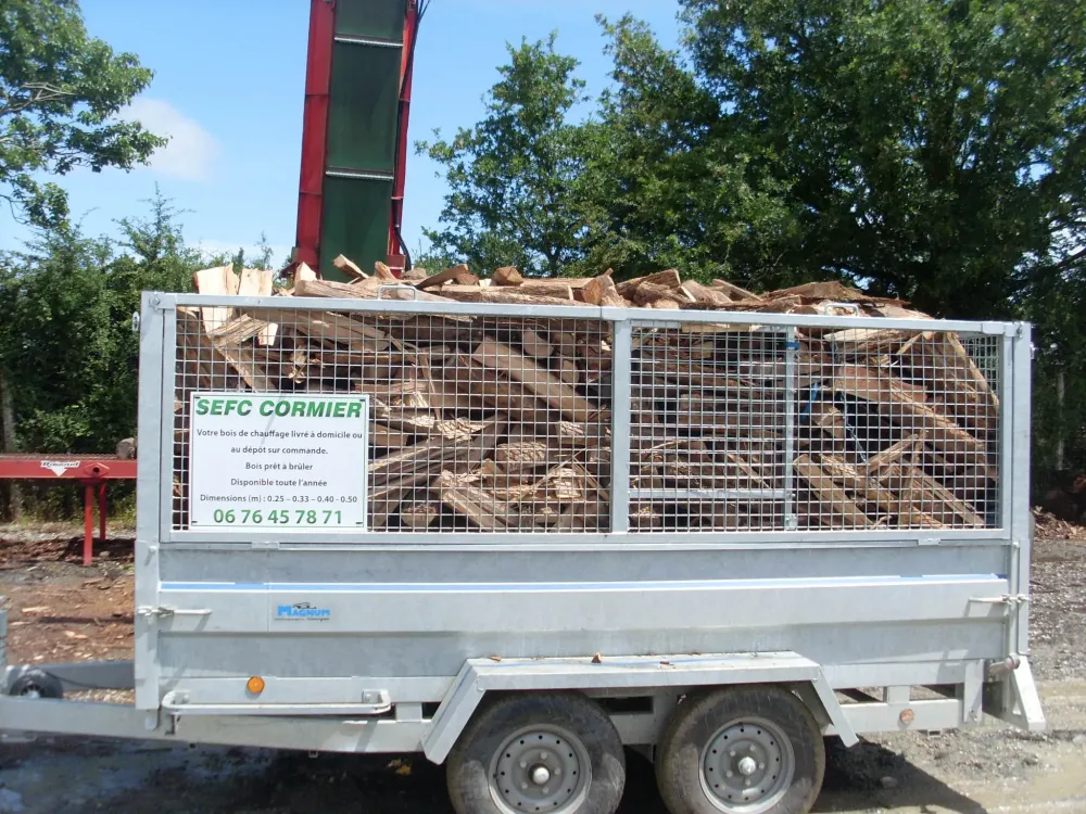 specialiste-du-bois