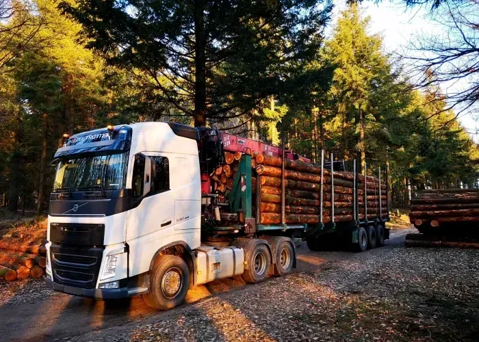 livraison bois de chauffage